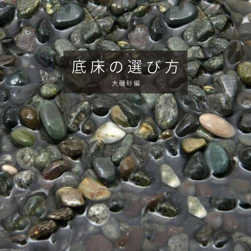 底床の選び方<大磯砂編> | AQUALASSIC