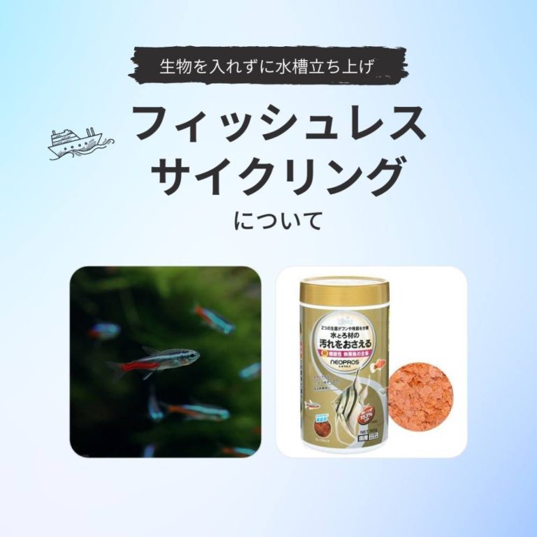 水槽をサイクリングする方法