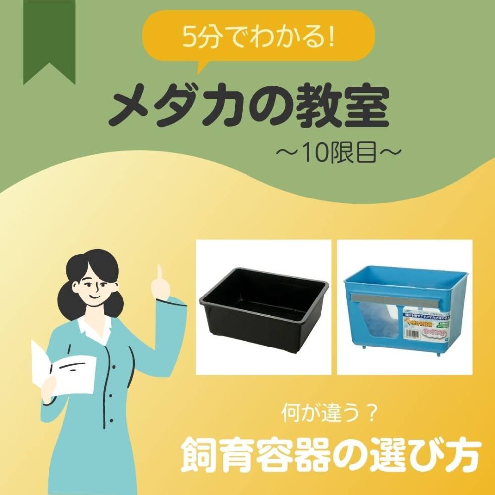 ５分でわかる！メダカ用飼育容器の選び方＜メダカの教室10限目 ...